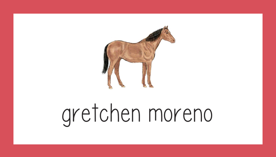 Stallion Folded Enclosure Cards